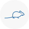 Mice Exterminators In Basildon